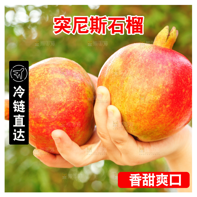手里拿着黑籽石榴