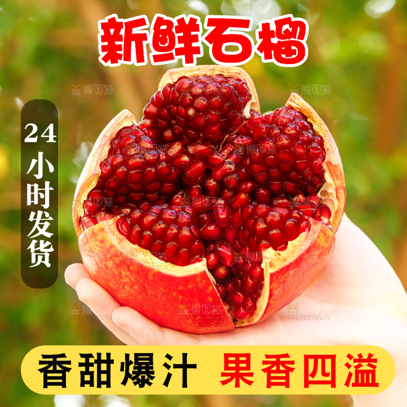 手里拿着黑籽石榴
