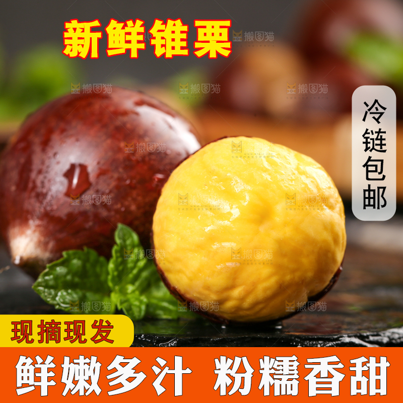 黑底上的锥栗