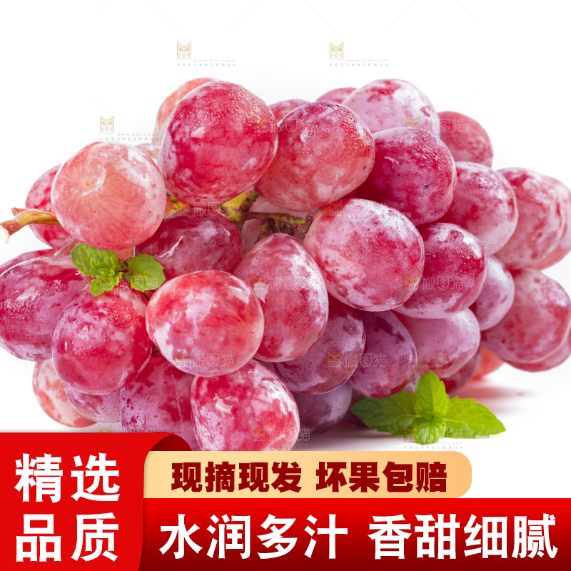 白底上放着一串红提葡萄