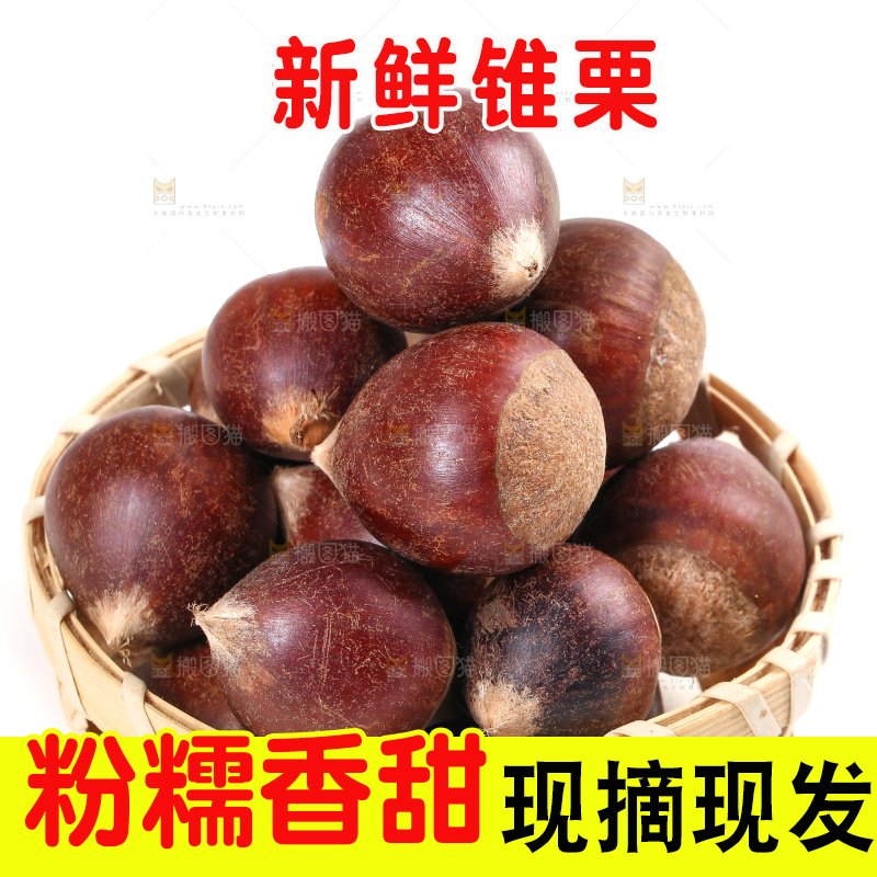 篮子里的生锥栗