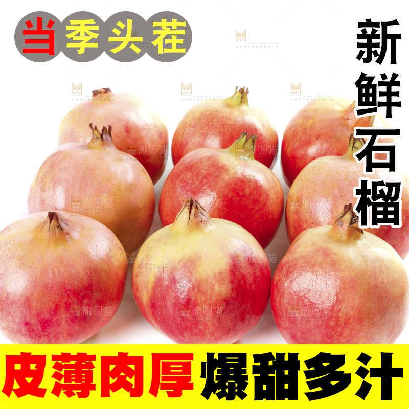 白底上的软籽石榴