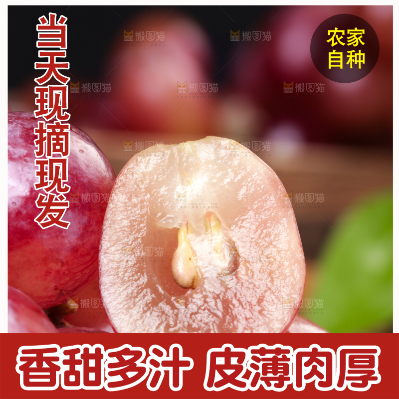 白底上的红提