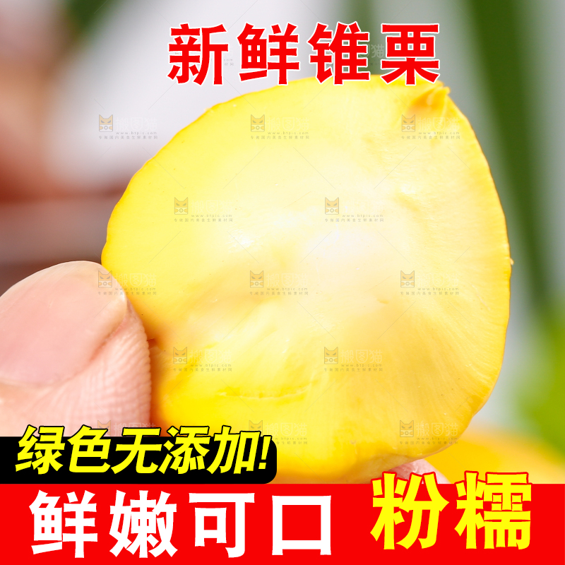 手里拿着锥栗仁
