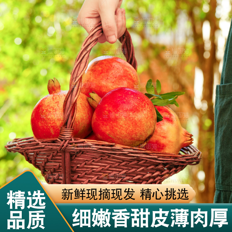 一篓新鲜软籽石榴