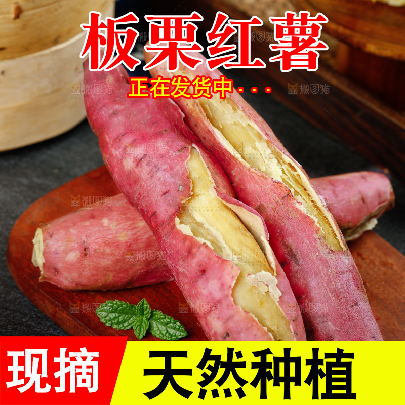 板栗薯