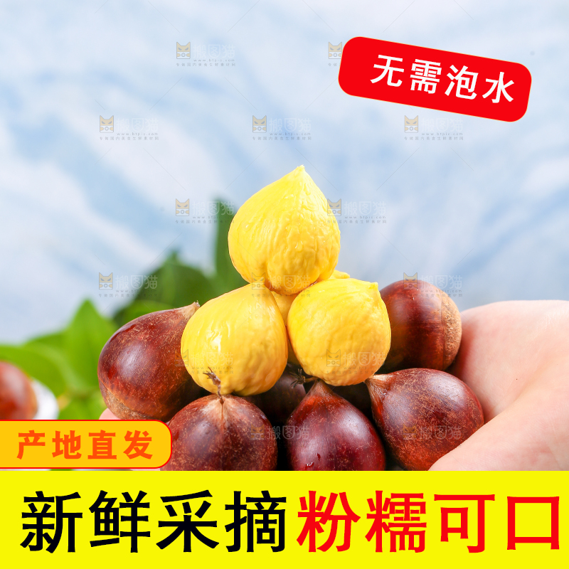 手里拿着锥栗