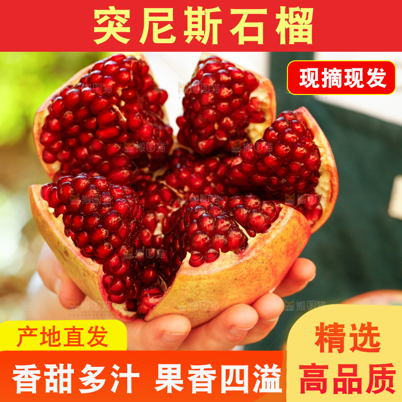 手里拿着黑籽石榴