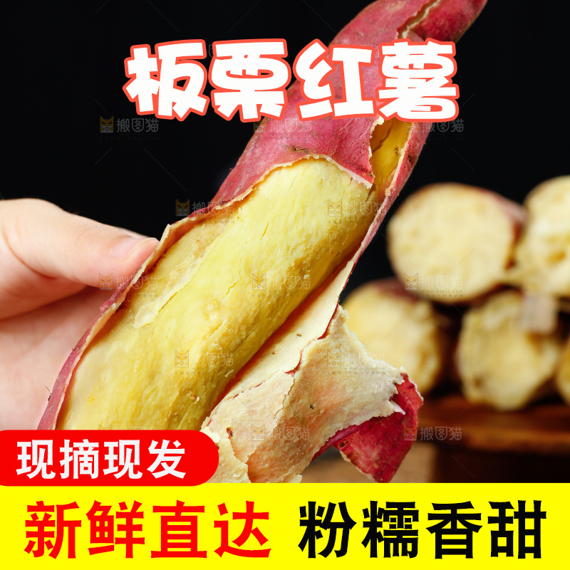 板栗薯