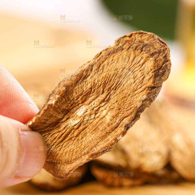 手里拿着牛蒡根
