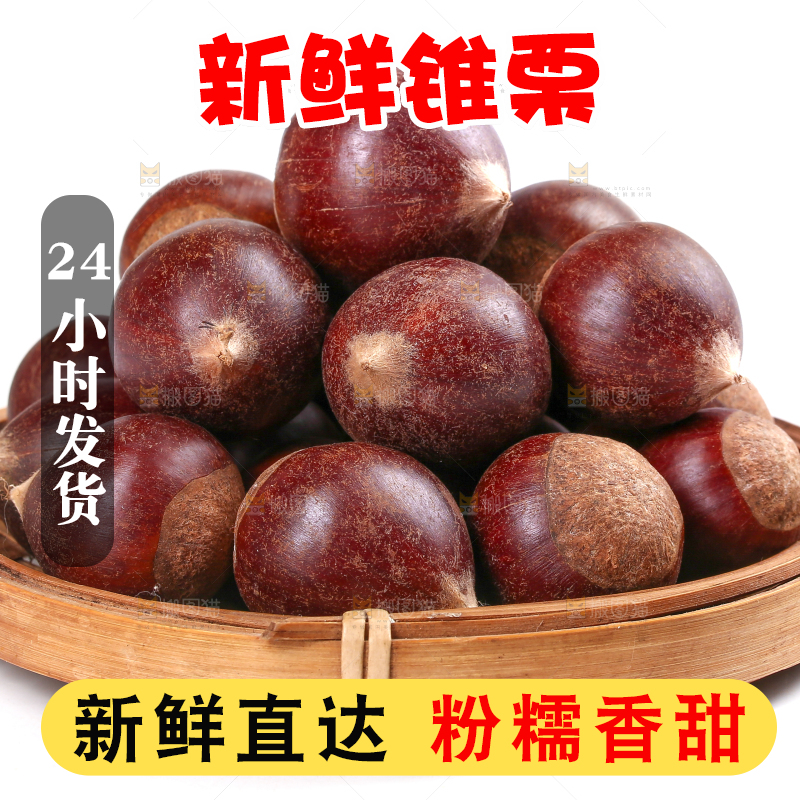 白底上放着一篮新鲜锥栗
