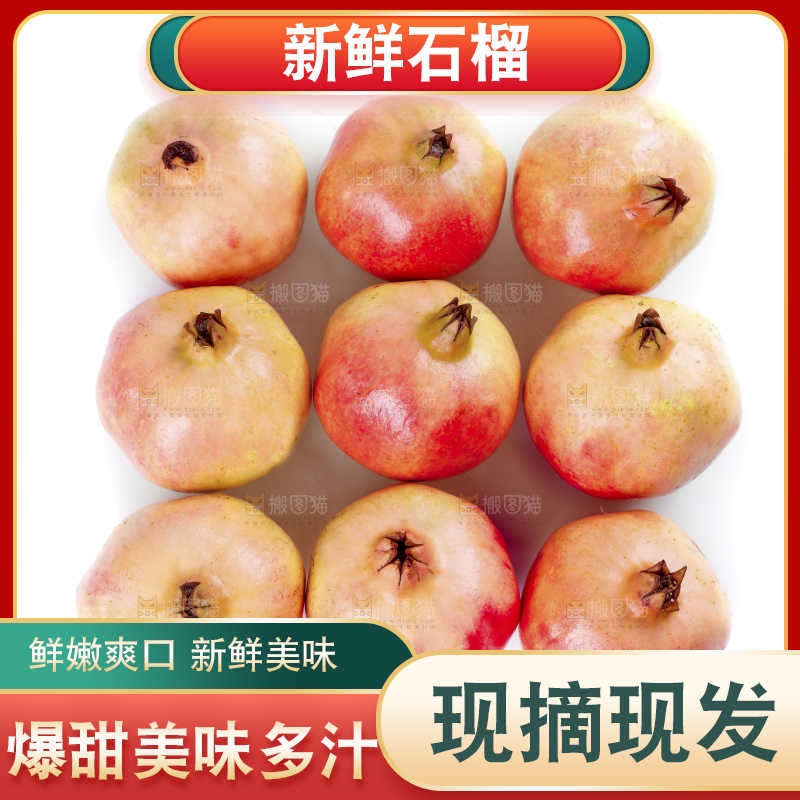 白底上的软籽石榴