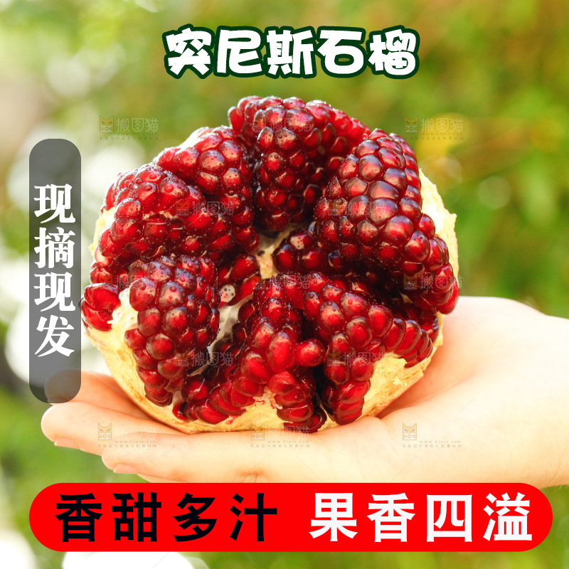 手里拿着黑籽石榴