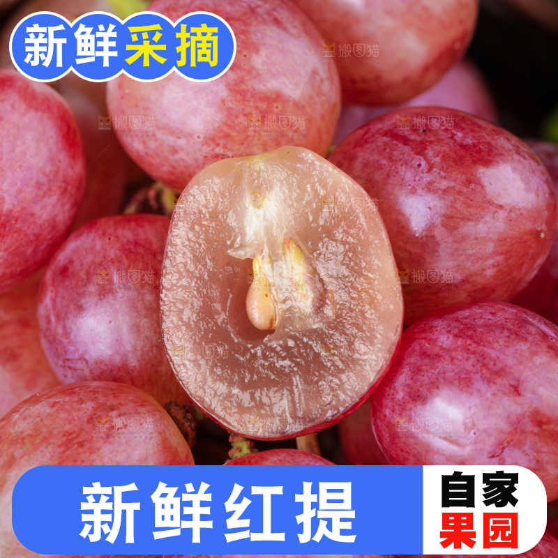 篮子里的新鲜红提