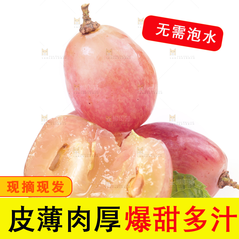 白底上的红提