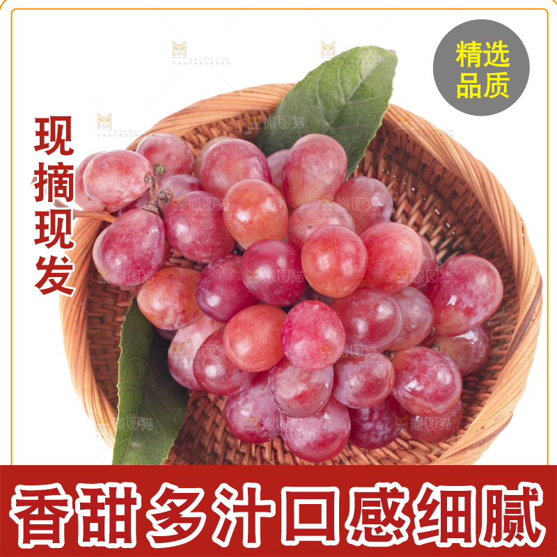 白底上篮子里的红提