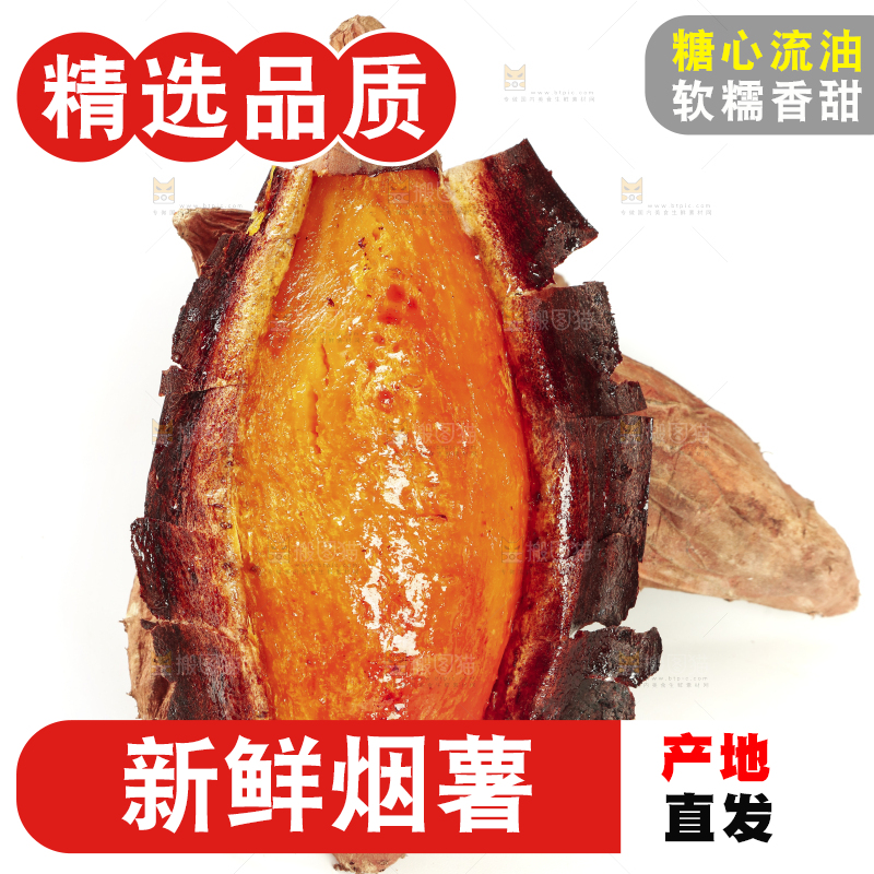 白底上的烟薯25号