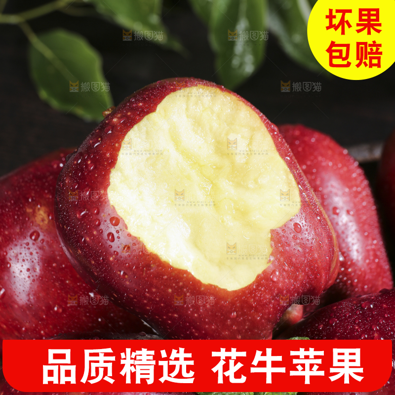 堆放着的花牛苹果
