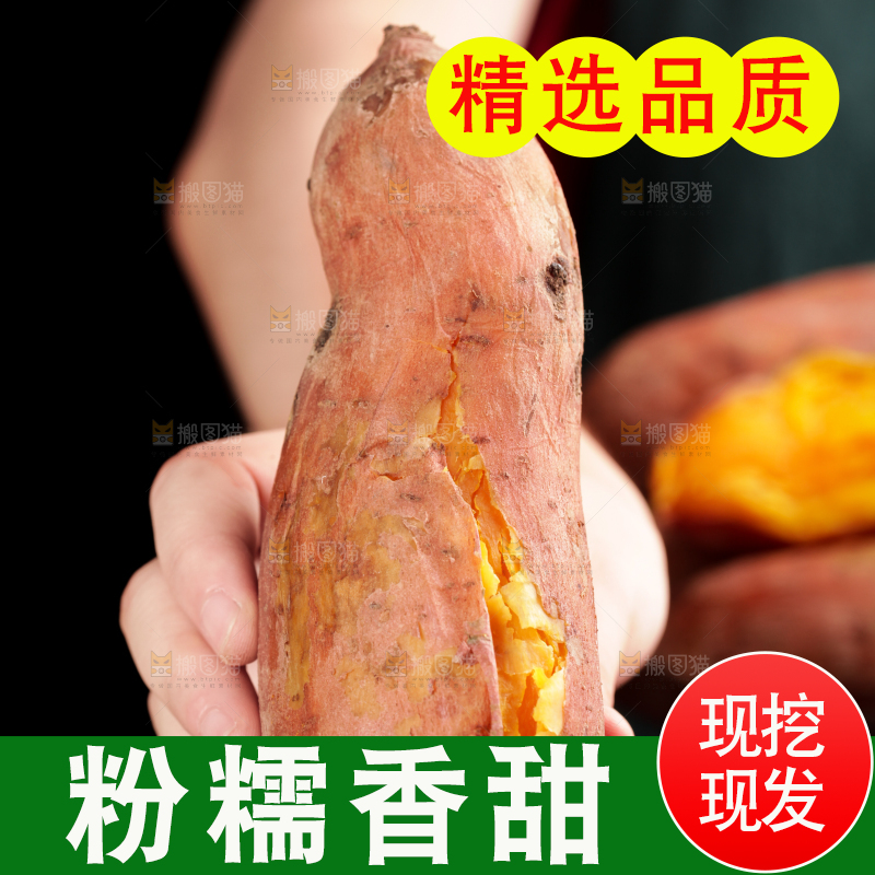 手里拿着沙地蜜薯