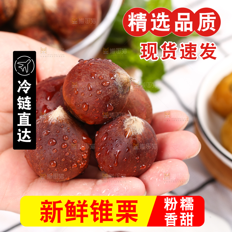 手里拿着建瓯锥栗
