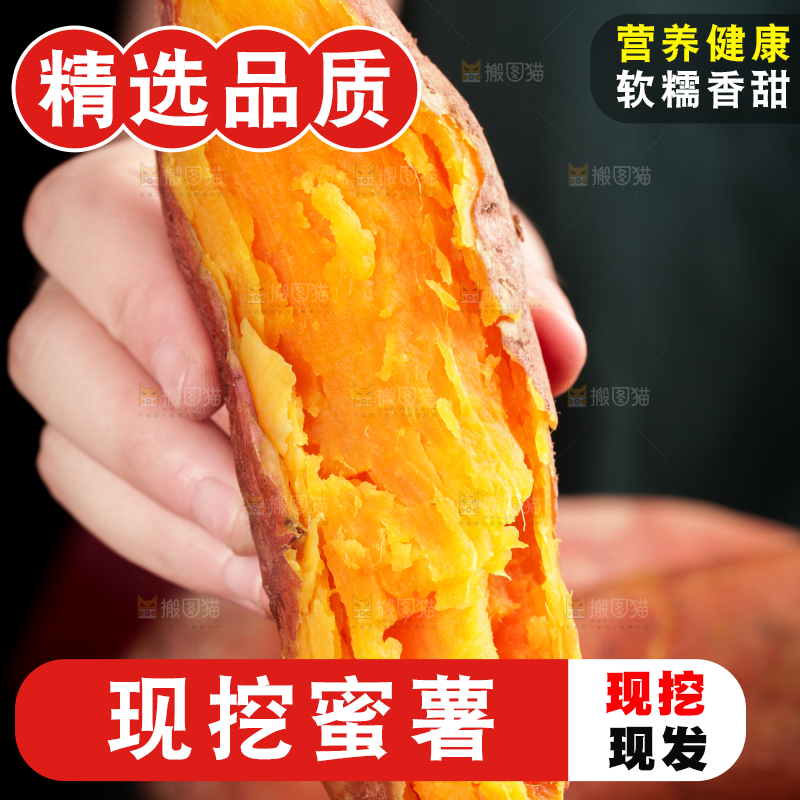 手里拿着沙地蜜薯