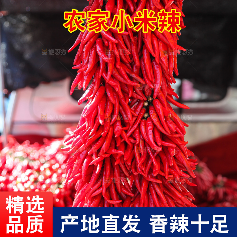 一大串红尖椒