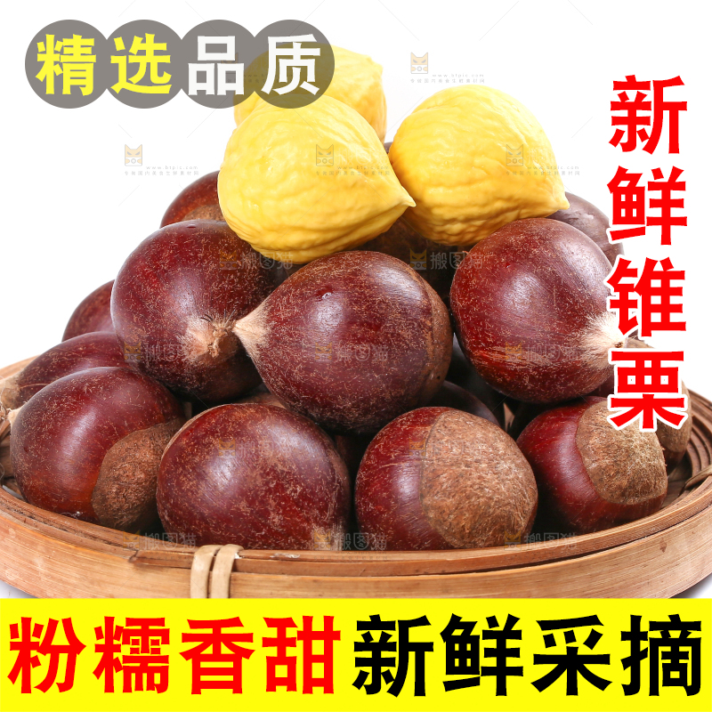 白底上放着一篮新鲜锥栗