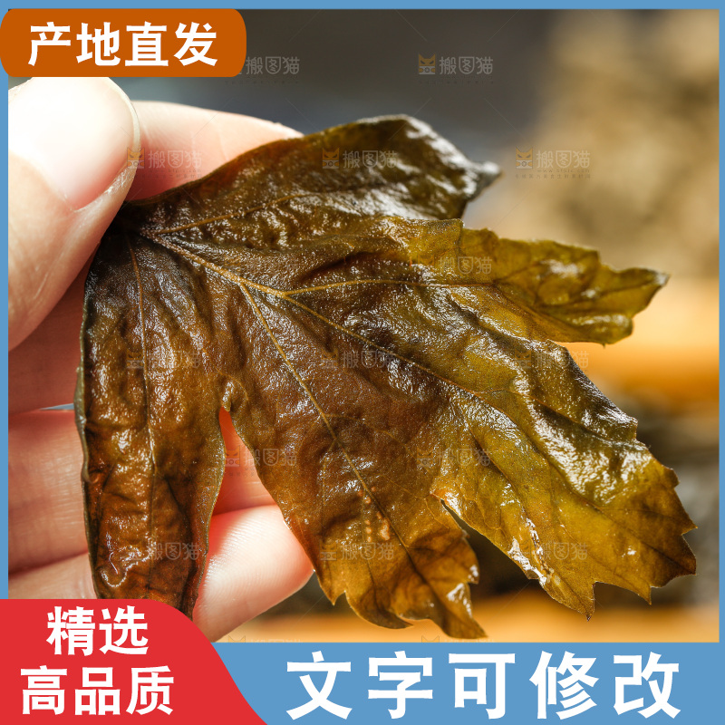 手里拿着艾草叶