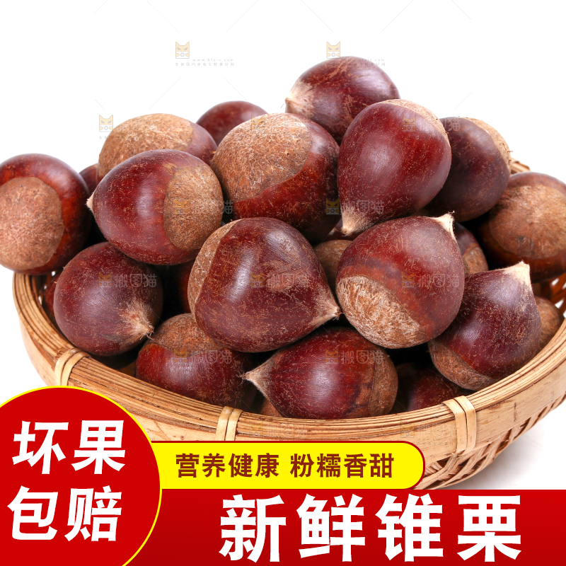 白底上放着一篮新鲜锥栗