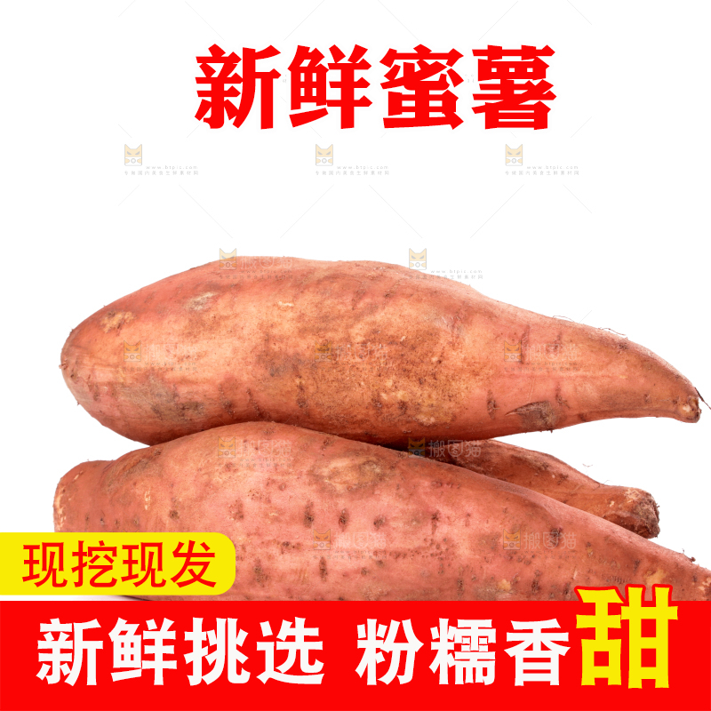 白底上的红薯