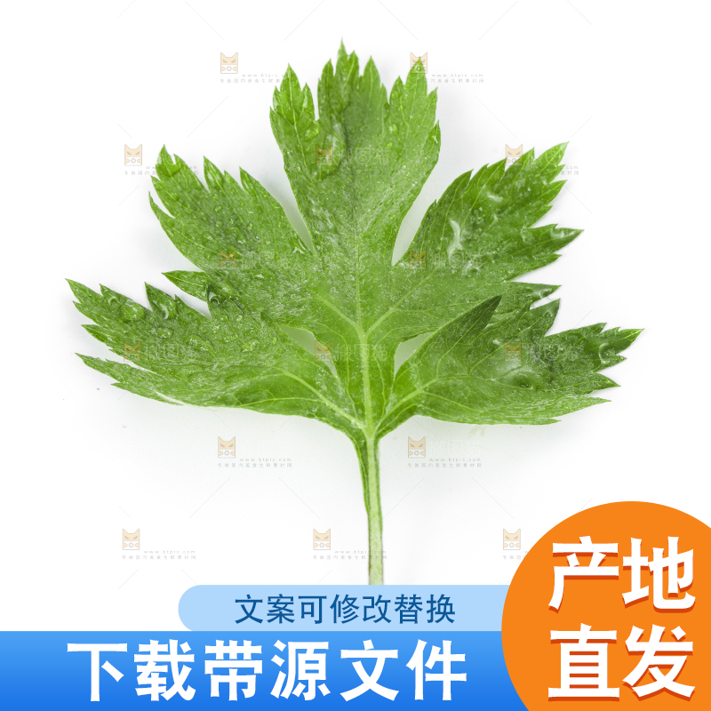 白底上摆放着艾草