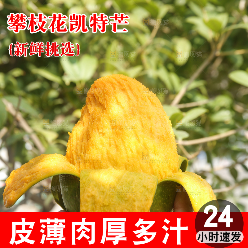 手里拿着青皮凯特芒