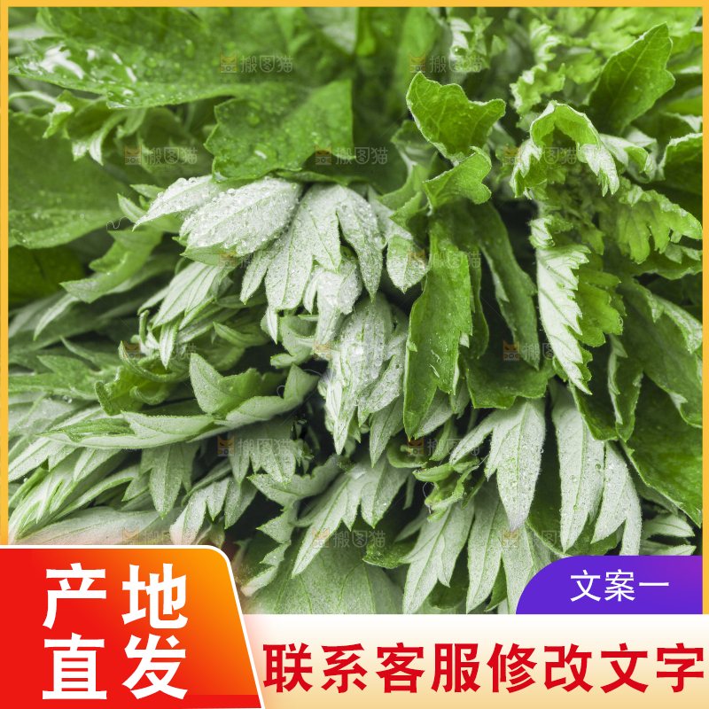白底上摆放着艾草