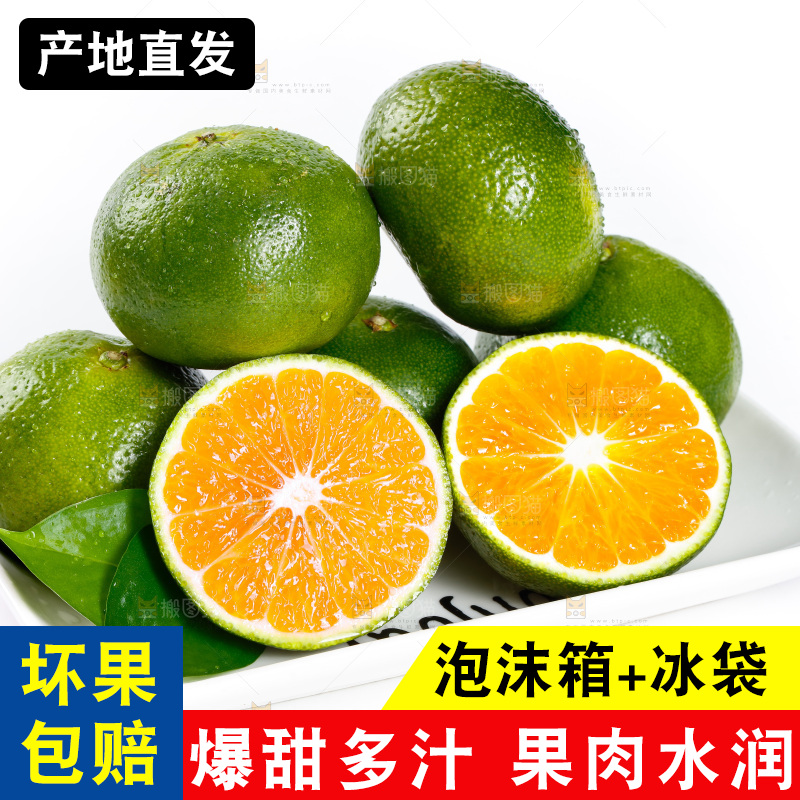 白底上放着一盘青皮蜜橘