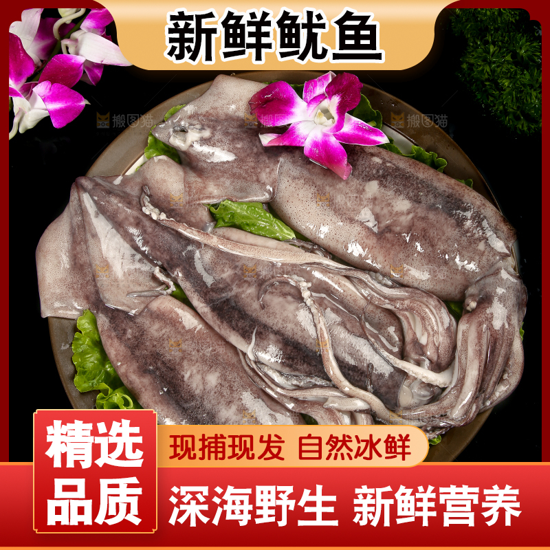 黑底上的鱿鱼