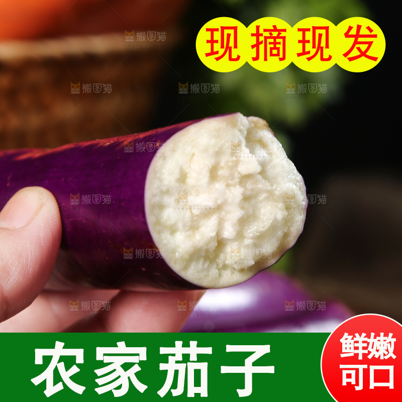 深底上的紫长茄子