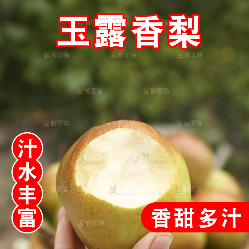 手里拿着玉露香梨