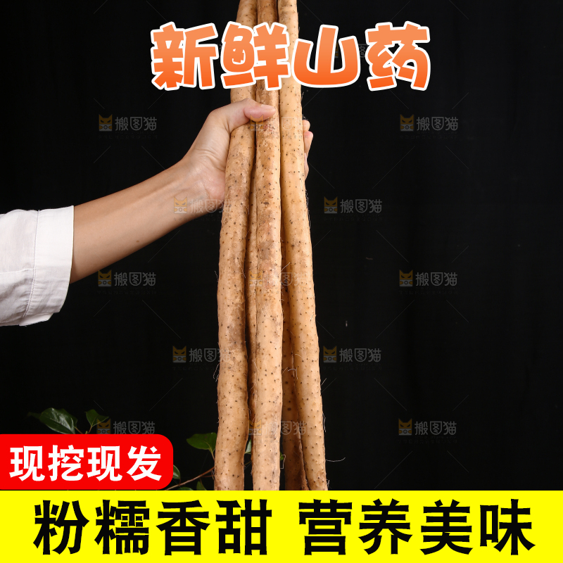深底上的山药