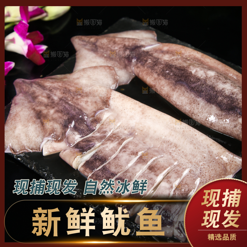 黑底上的鱿鱼
