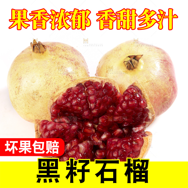 白底上的突尼斯软籽石榴