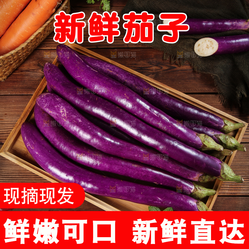 深底上的紫长茄子
