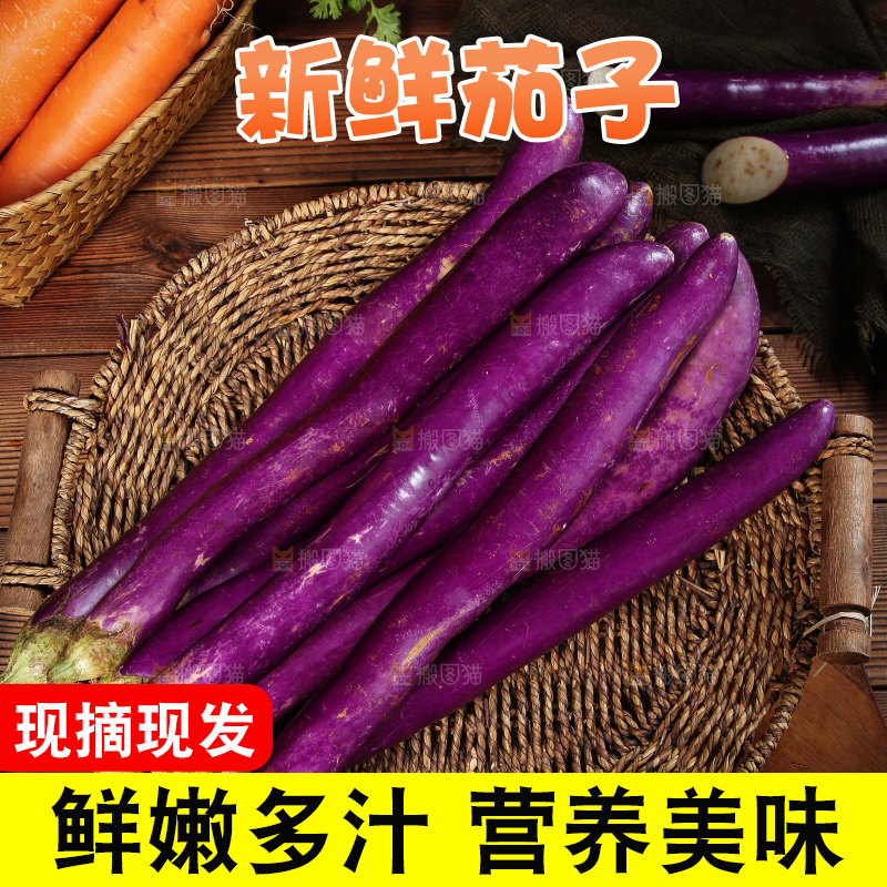 深底上的紫长茄子