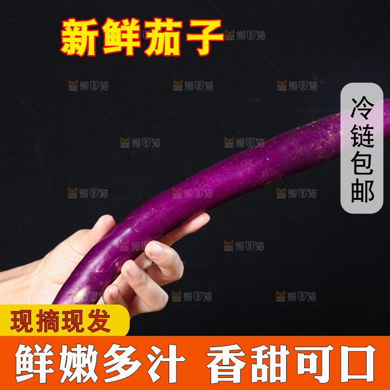 深底上的紫长茄子