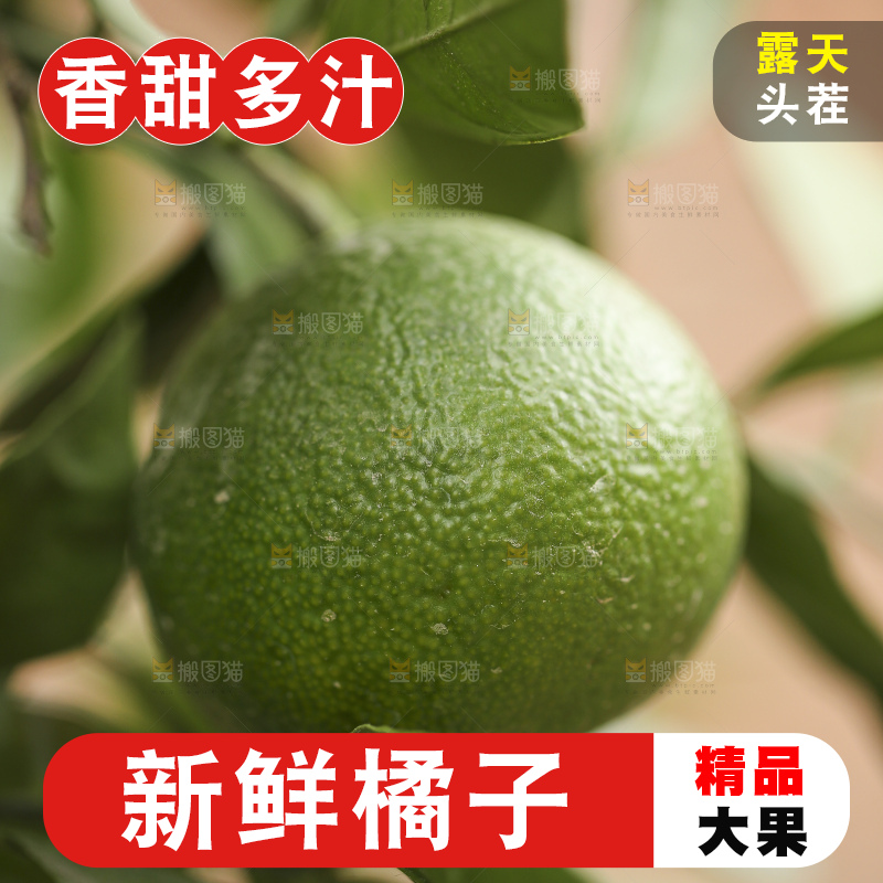 户外的青橘