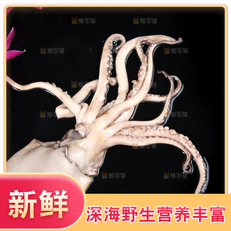 黑底上的鱿鱼