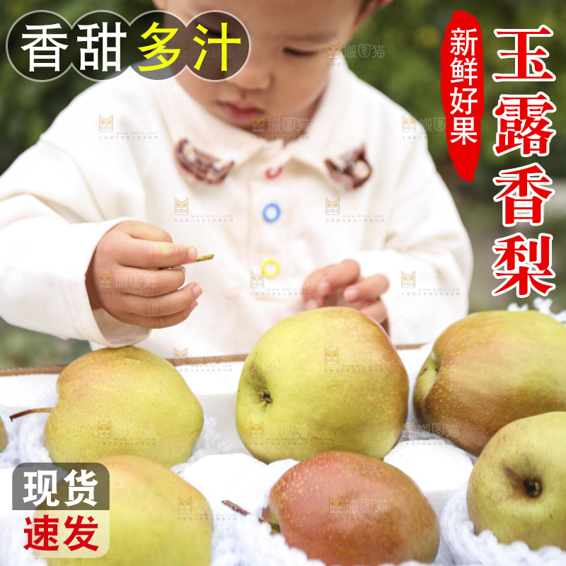 手里拿着玉露香梨