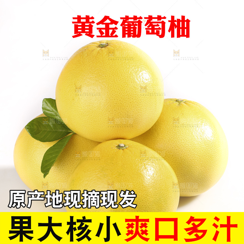 白底上的黄金葡萄柚