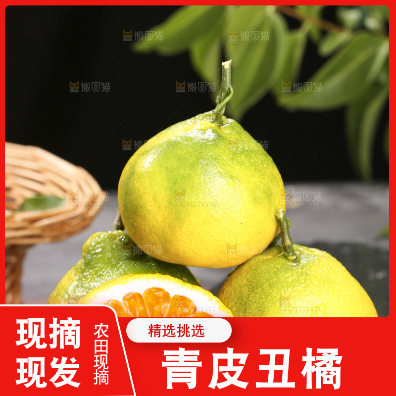 深底上的青皮丑橘