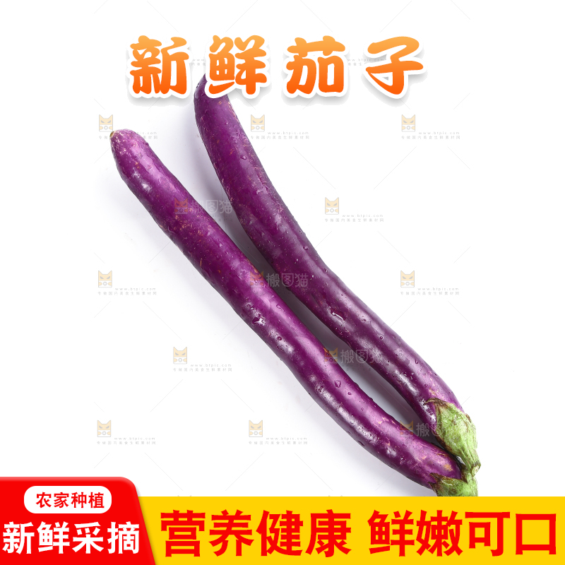 白底上的紫长茄子