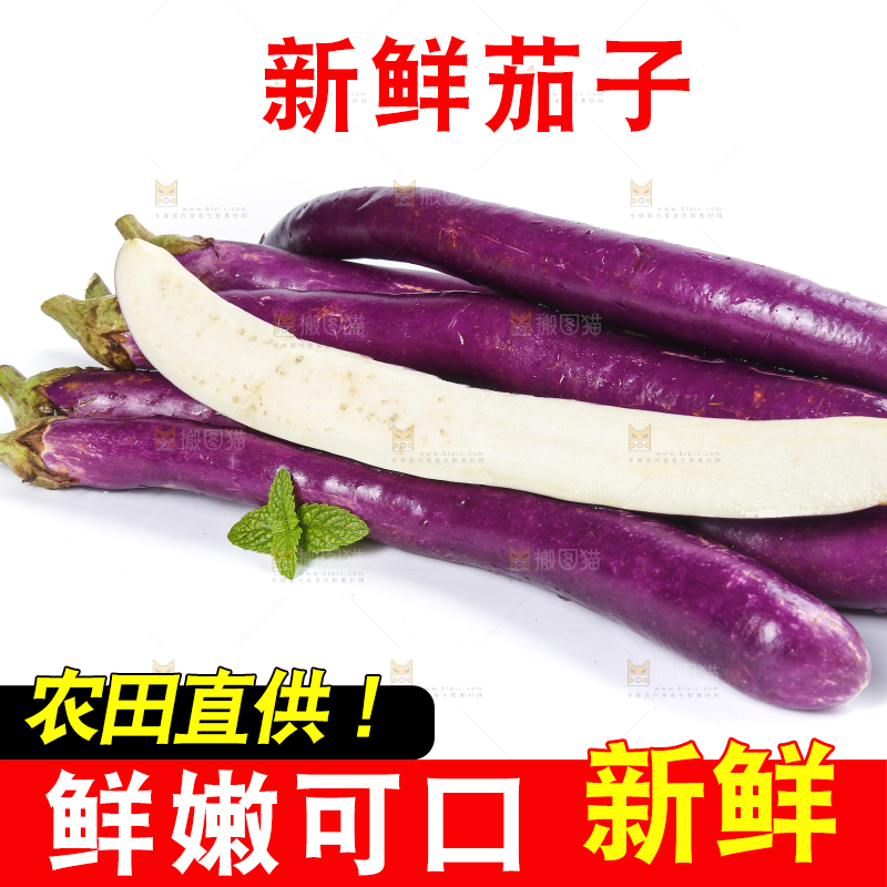 白底上的紫长茄子